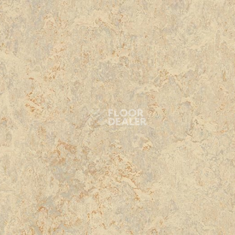 Кварцвиниловые полы Forbo Marmoleum Modular t3120 rosato фото 1 | FLOORDEALER